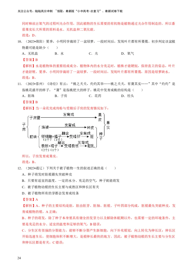 专题08被子植物的一生（解析版）_02中考总复习（2026版更新中）_08-生物-中考总复习_2024年中考复习资料_专项复习_备战2024年中考生物真题题源解密