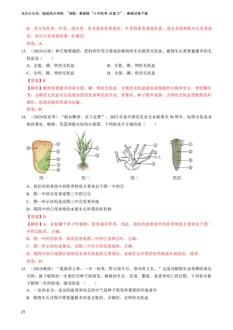 专题08被子植物的一生（解析版）_02中考总复习（2026版更新中）_08-生物-中考总复习_2024年中考复习资料_专项复习_备战2024年中考生物真题题源解密