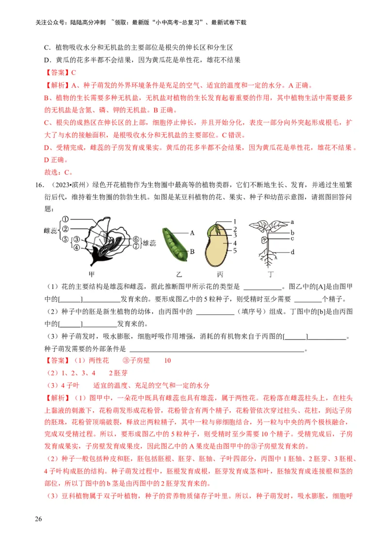专题08被子植物的一生（解析版）_02中考总复习（2026版更新中）_08-生物-中考总复习_2024年中考复习资料_专项复习_备战2024年中考生物真题题源解密