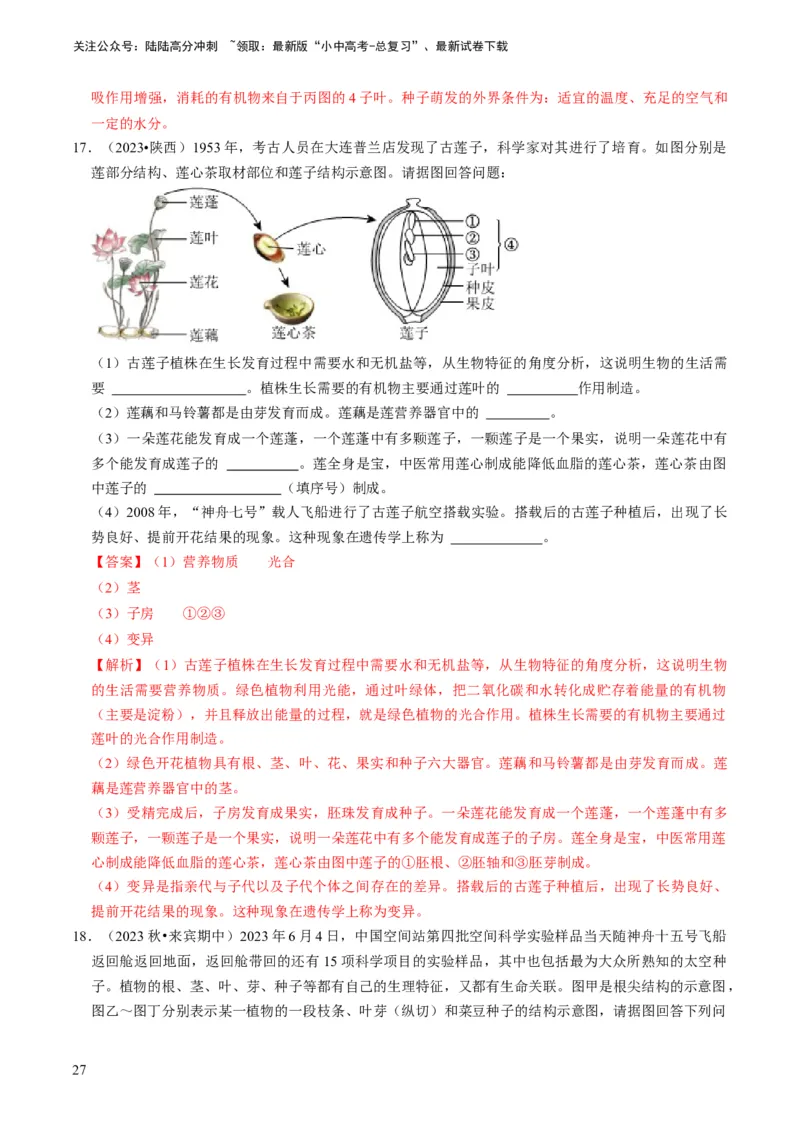 专题08被子植物的一生（解析版）_02中考总复习（2026版更新中）_08-生物-中考总复习_2024年中考复习资料_专项复习_备战2024年中考生物真题题源解密