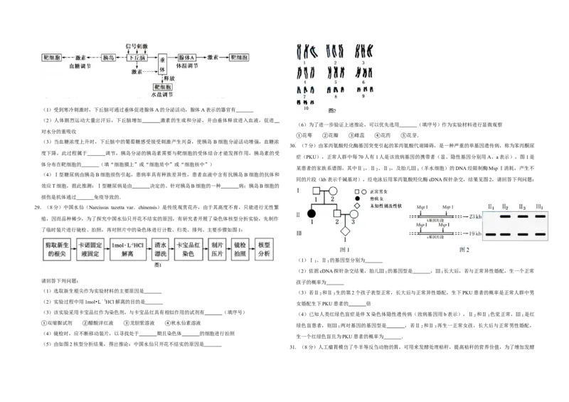 2015年江苏省高考生物试卷_全国卷+地方卷_6.生物_1.生物高考真题试卷_2008-2020年_地方卷_江苏高考生物07-20_A3word版