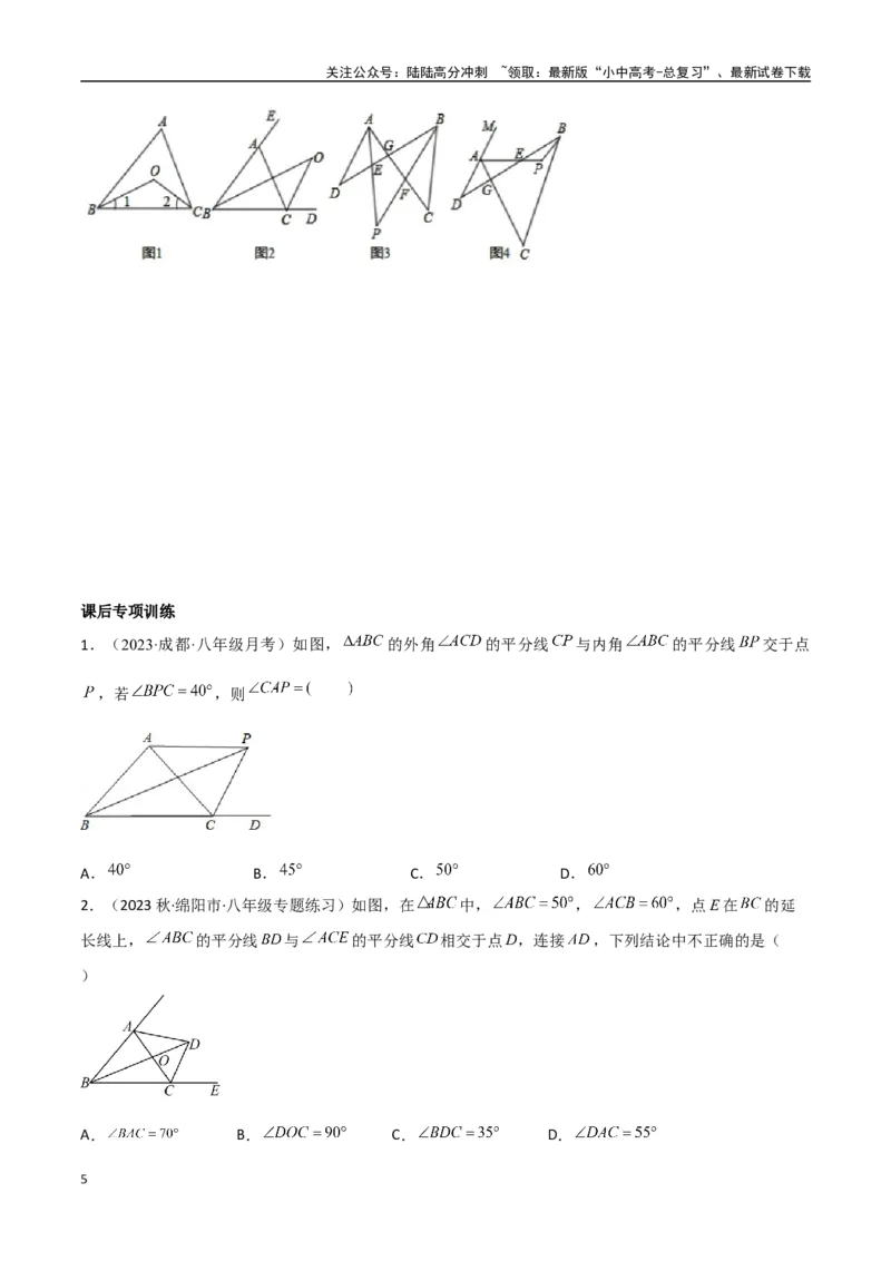 专题05三角形中的倒角模型-双角平分线（三角形）模型（原卷版）_02中考总复习（2026版更新中）_02-数学-中考总复习_2024年中考复习资料_专项复习资料