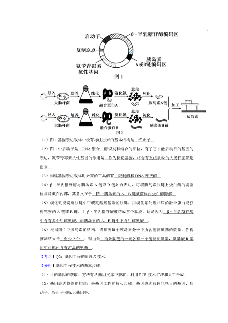 2015年江苏省高考生物试卷解析版_全国卷+地方卷_6.生物_1.生物高考真题试卷_2008-2020年_地方卷_江苏高考生物07-20_A4word版_PDF版（赠送）