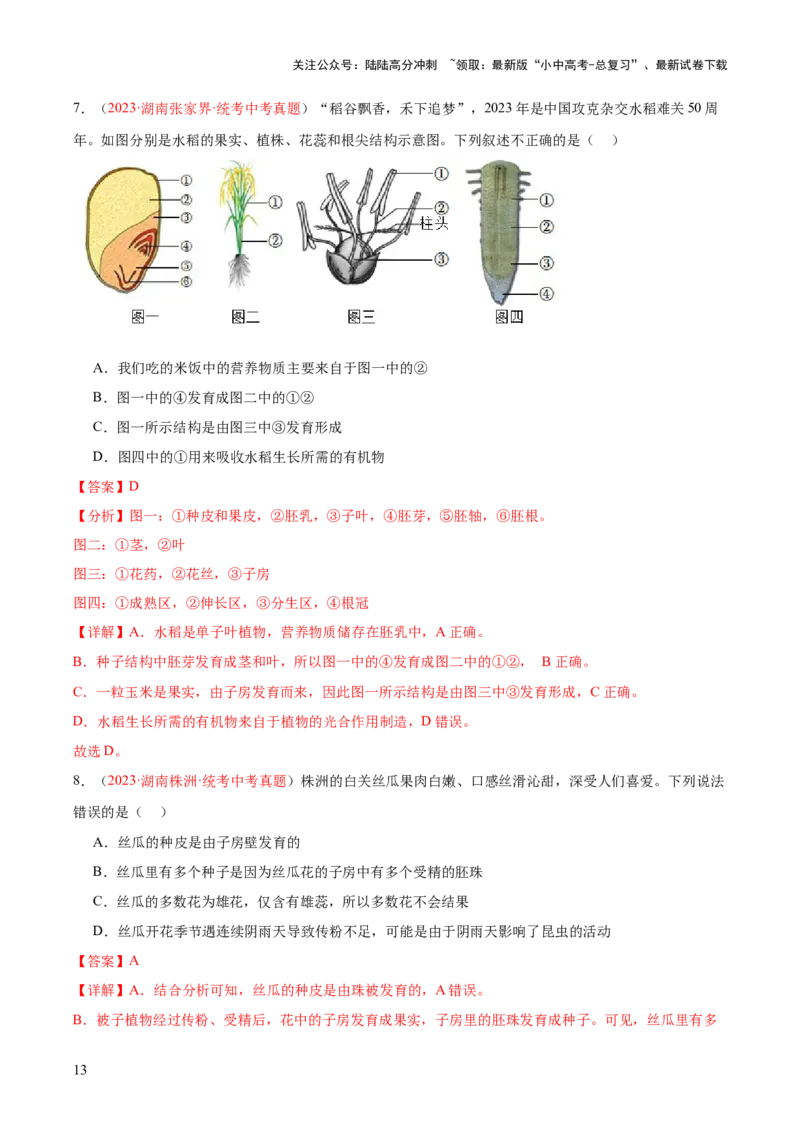 专题05被子植物的一生（解析版）_02中考总复习（2026版更新中）_08-生物-中考总复习_2024年中考复习资料_一轮复习_❤备战2024年中考生物一轮复习考点帮（全国通用）_练习