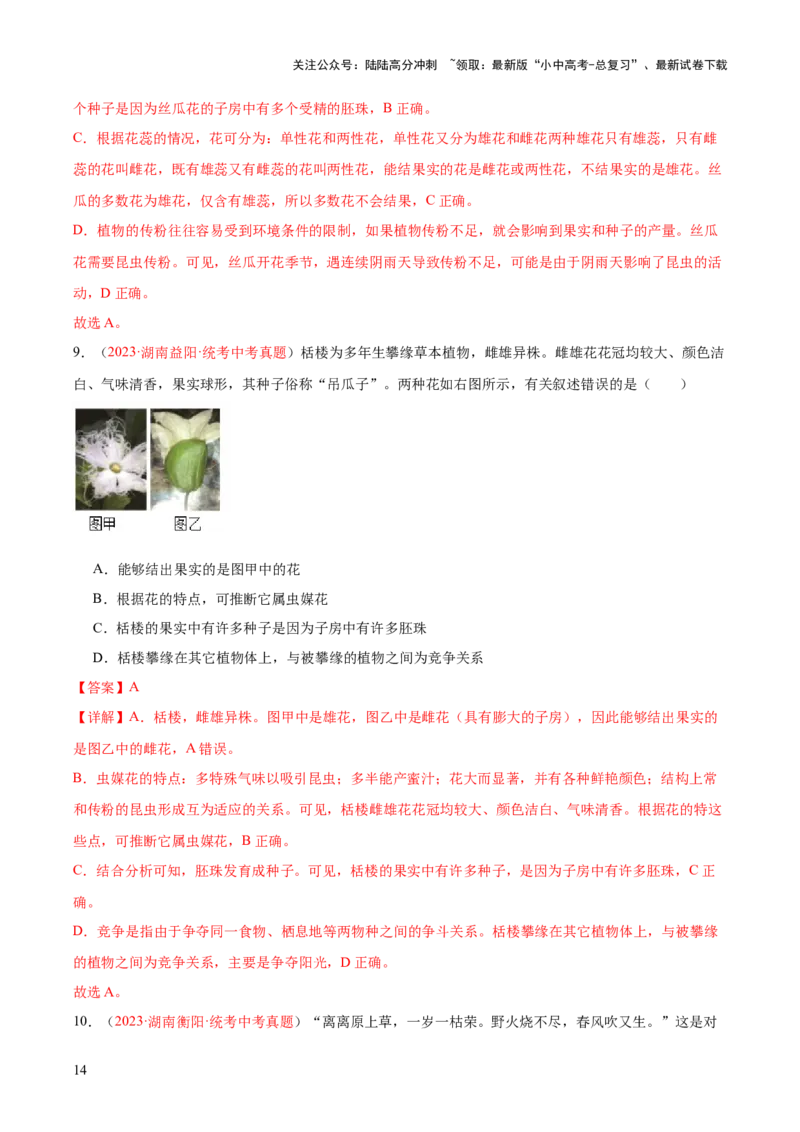 专题05被子植物的一生（解析版）_02中考总复习（2026版更新中）_08-生物-中考总复习_2024年中考复习资料_一轮复习_❤备战2024年中考生物一轮复习考点帮（全国通用）_练习