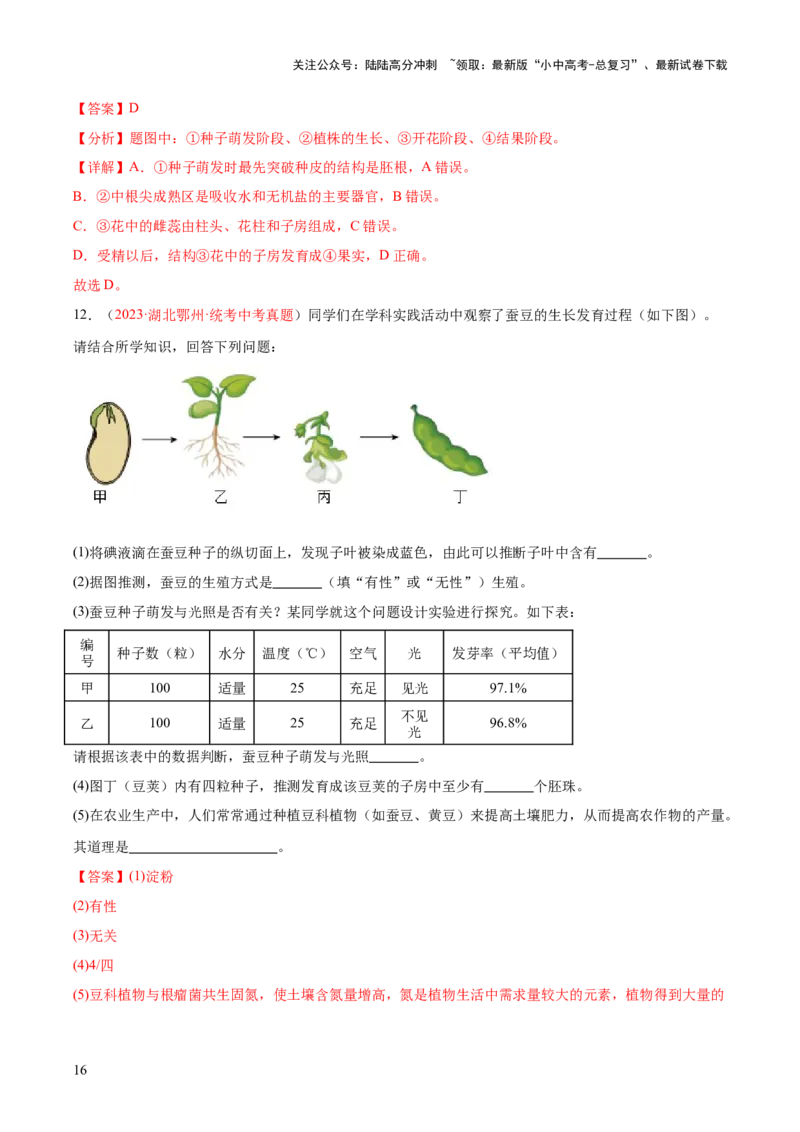 专题05被子植物的一生（解析版）_02中考总复习（2026版更新中）_08-生物-中考总复习_2024年中考复习资料_一轮复习_❤备战2024年中考生物一轮复习考点帮（全国通用）_练习