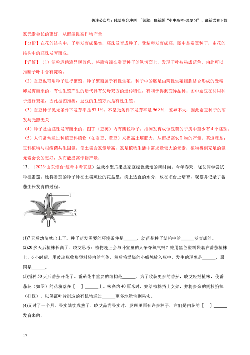 专题05被子植物的一生（解析版）_02中考总复习（2026版更新中）_08-生物-中考总复习_2024年中考复习资料_一轮复习_❤备战2024年中考生物一轮复习考点帮（全国通用）_练习