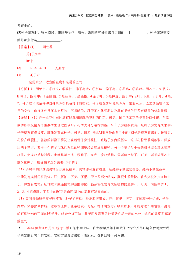 专题05被子植物的一生（解析版）_02中考总复习（2026版更新中）_08-生物-中考总复习_2024年中考复习资料_一轮复习_❤备战2024年中考生物一轮复习考点帮（全国通用）_练习