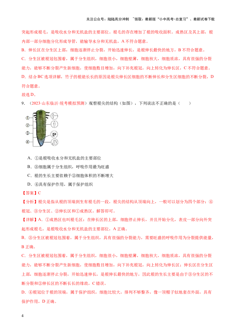 专题05被子植物的一生（解析版）_02中考总复习（2026版更新中）_08-生物-中考总复习_2024年中考复习资料_一轮复习_❤备战2024年中考生物一轮复习考点帮（全国通用）_练习