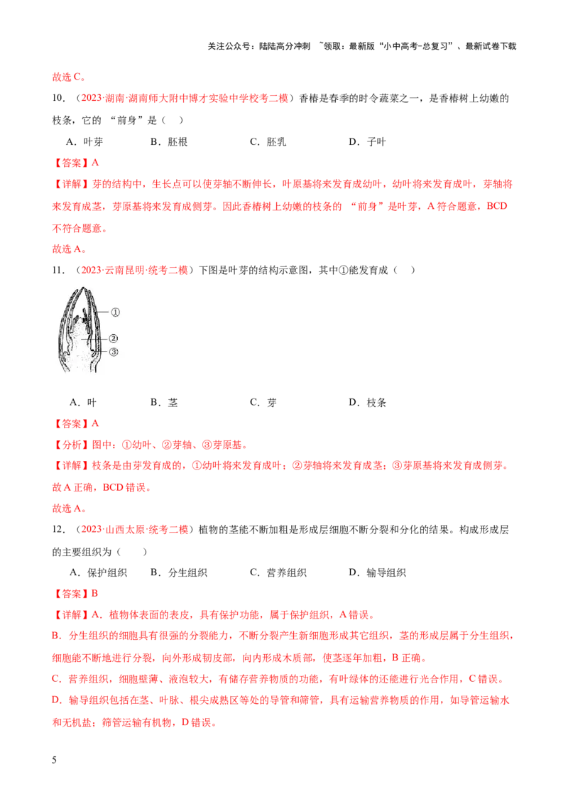 专题05被子植物的一生（解析版）_02中考总复习（2026版更新中）_08-生物-中考总复习_2024年中考复习资料_一轮复习_❤备战2024年中考生物一轮复习考点帮（全国通用）_练习