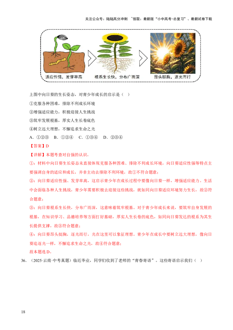 专题05青春时光（解析版）_02中考总复习（2026版更新中）_07-道法-中考总复习_2026年中考复习（更新中）_好题汇编三年（2023-2025）中考道德与法治真题分类汇编（全国通用）