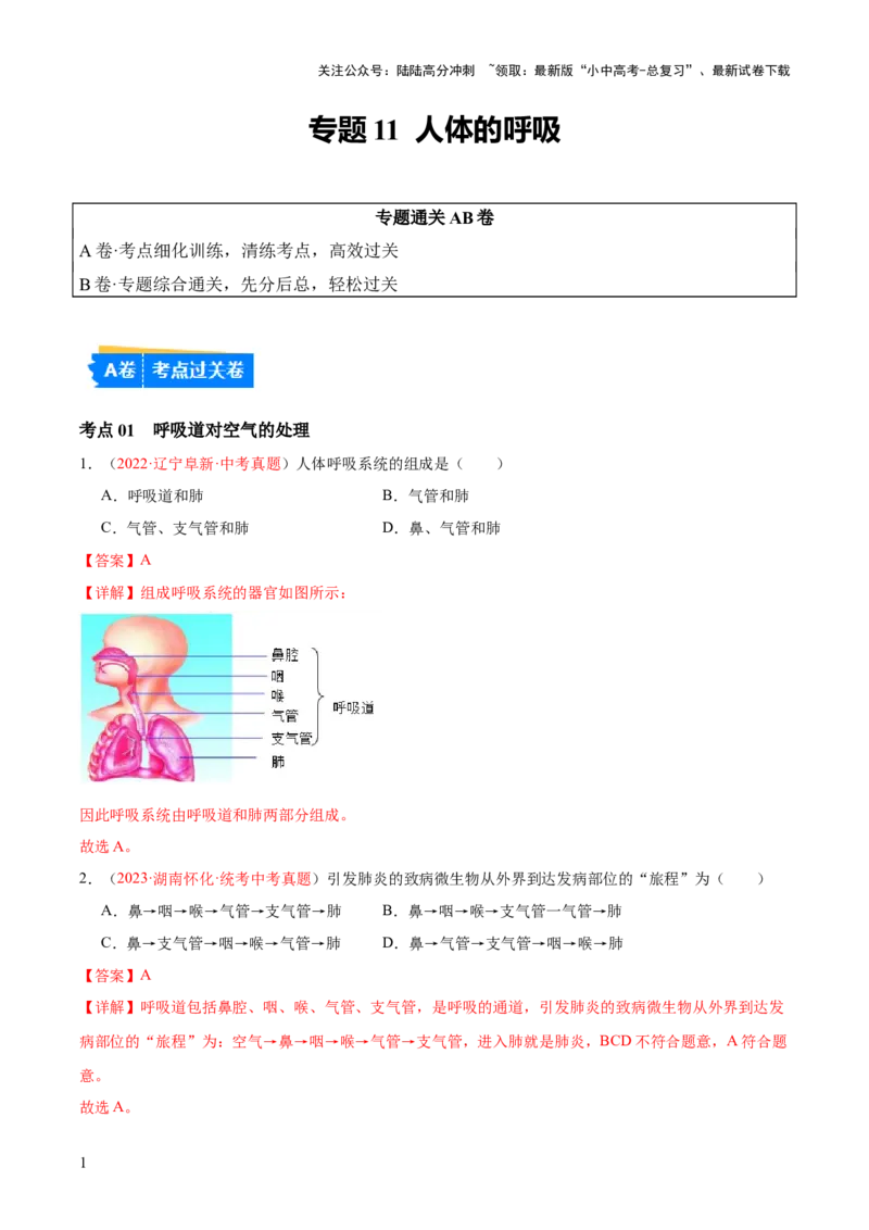 专题11人体的呼吸（解析版）_02中考总复习（2026版更新中）_08-生物-中考总复习_2024年中考复习资料_一轮复习_❤备战2024年中考生物一轮复习考点帮（全国通用）_练习