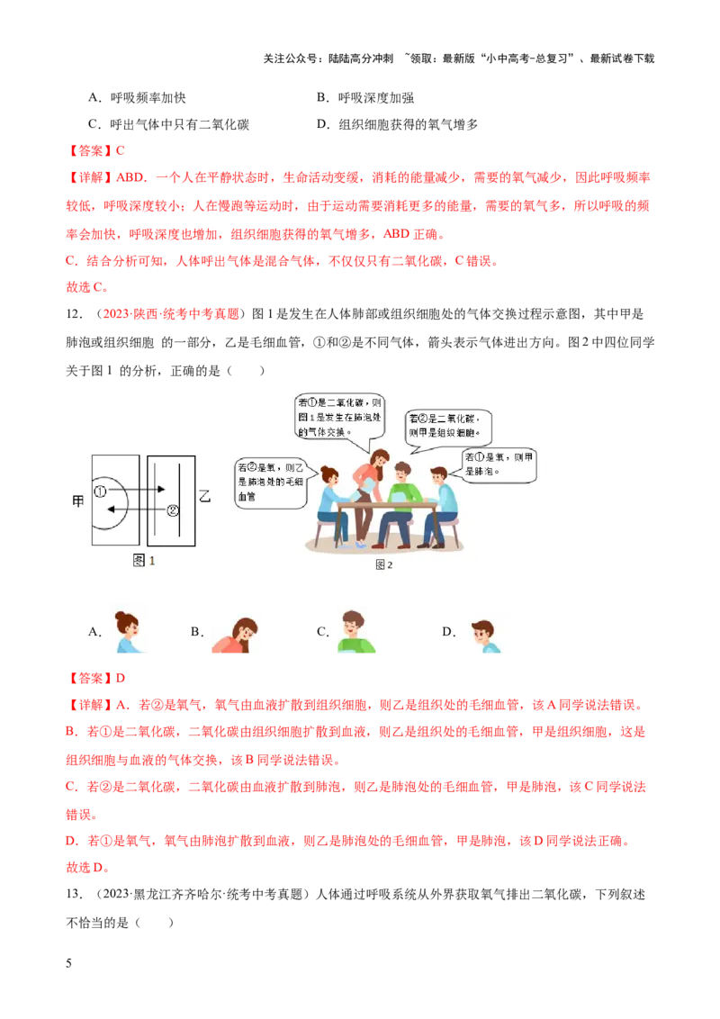 专题11人体的呼吸（解析版）_02中考总复习（2026版更新中）_08-生物-中考总复习_2024年中考复习资料_一轮复习_❤备战2024年中考生物一轮复习考点帮（全国通用）_练习