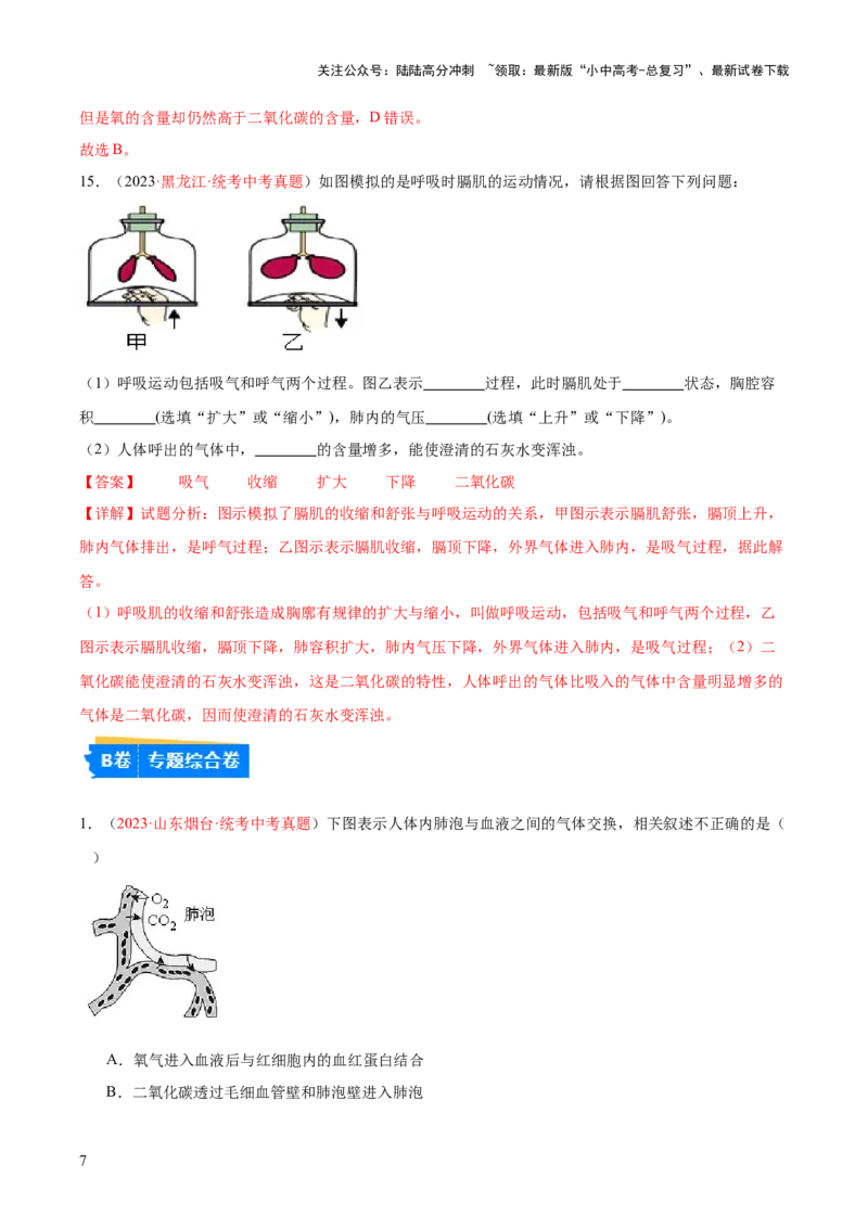 专题11人体的呼吸（解析版）_02中考总复习（2026版更新中）_08-生物-中考总复习_2024年中考复习资料_一轮复习_❤备战2024年中考生物一轮复习考点帮（全国通用）_练习