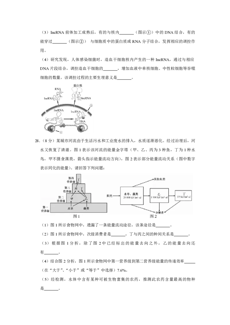 2018年江苏省高考生物试卷_全国卷+地方卷_6.生物_1.生物高考真题试卷_2008-2020年_地方卷_江苏高考生物07-20_A4word版_PDF版（赠送）