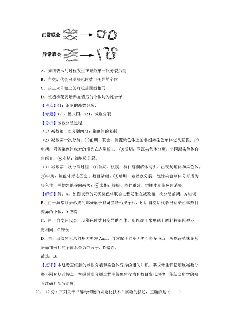 2017年江苏省高考生物试卷解析版_全国卷+地方卷_6.生物_1.生物高考真题试卷_2008-2020年_地方卷_江苏高考生物07-20_A4word版