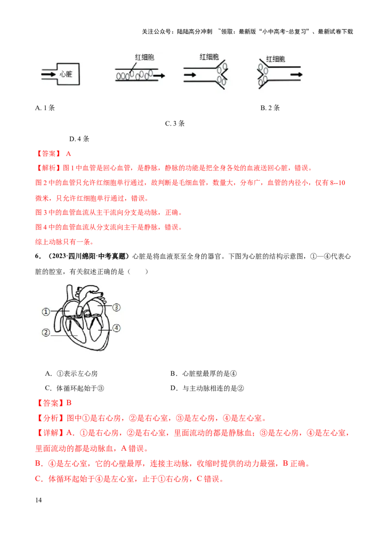 专题12人体内物质的运输（练习）（解析版）_02中考总复习（2026版更新中）_08-生物-中考总复习_2024年中考复习资料_一轮复习_❤2024年中考生物一轮复习讲练测（全国通用）_练习