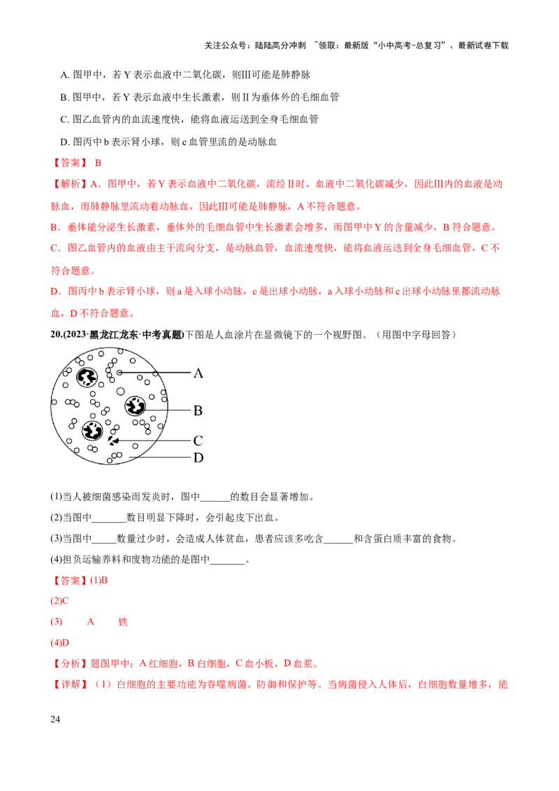专题12人体内物质的运输（练习）（解析版）_02中考总复习（2026版更新中）_08-生物-中考总复习_2024年中考复习资料_一轮复习_❤2024年中考生物一轮复习讲练测（全国通用）_练习