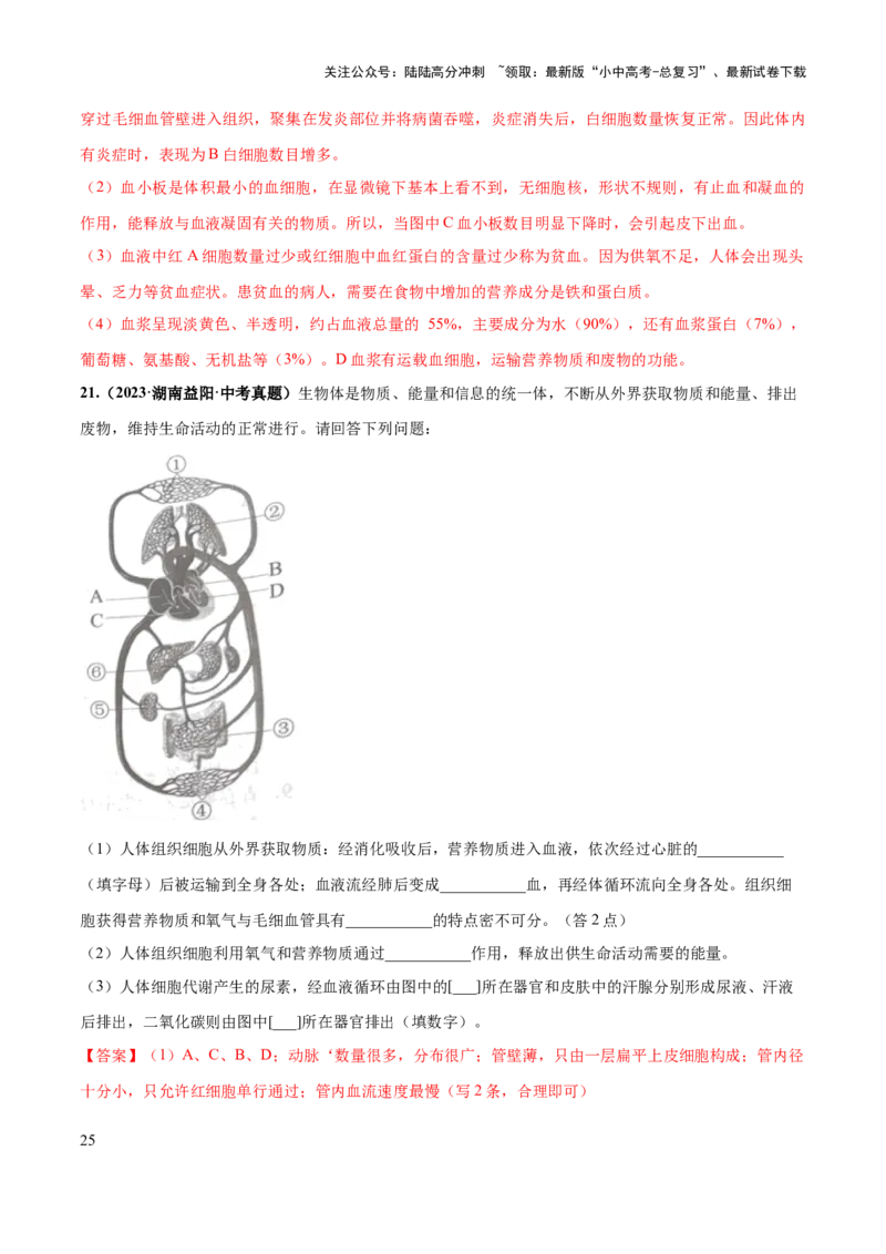 专题12人体内物质的运输（练习）（解析版）_02中考总复习（2026版更新中）_08-生物-中考总复习_2024年中考复习资料_一轮复习_❤2024年中考生物一轮复习讲练测（全国通用）_练习