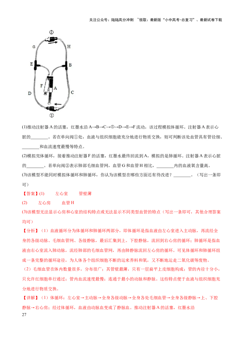 专题12人体内物质的运输（练习）（解析版）_02中考总复习（2026版更新中）_08-生物-中考总复习_2024年中考复习资料_一轮复习_❤2024年中考生物一轮复习讲练测（全国通用）_练习