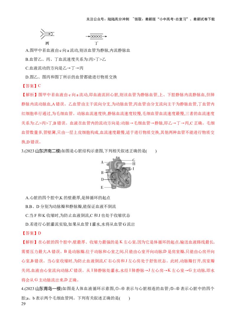 专题12人体内物质的运输（练习）（解析版）_02中考总复习（2026版更新中）_08-生物-中考总复习_2024年中考复习资料_一轮复习_❤2024年中考生物一轮复习讲练测（全国通用）_练习