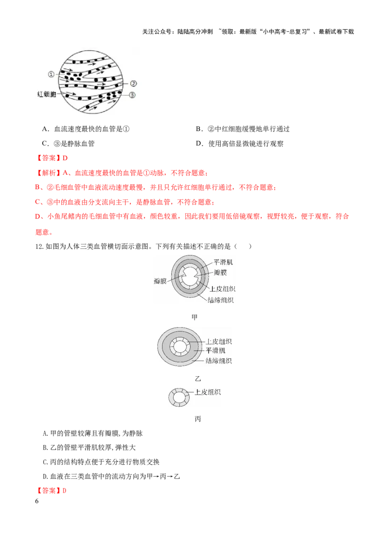 专题12人体内物质的运输（练习）（解析版）_02中考总复习（2026版更新中）_08-生物-中考总复习_2024年中考复习资料_一轮复习_❤2024年中考生物一轮复习讲练测（全国通用）_练习