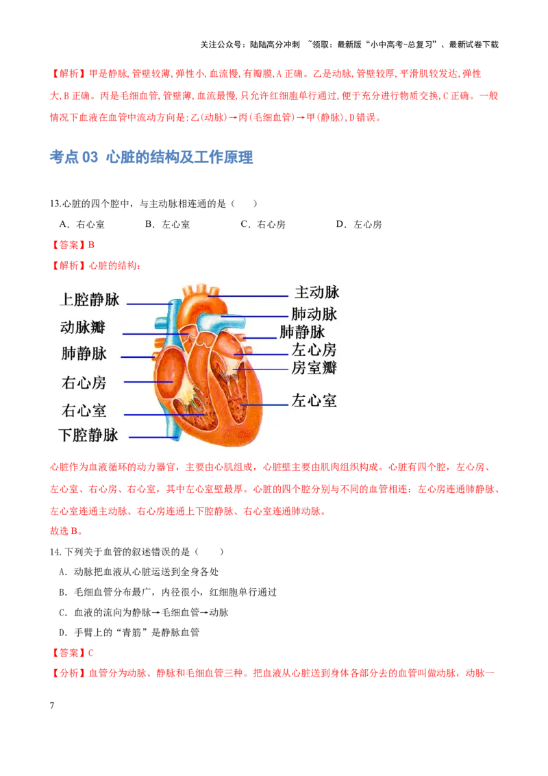 专题12人体内物质的运输（练习）（解析版）_02中考总复习（2026版更新中）_08-生物-中考总复习_2024年中考复习资料_一轮复习_❤2024年中考生物一轮复习讲练测（全国通用）_练习
