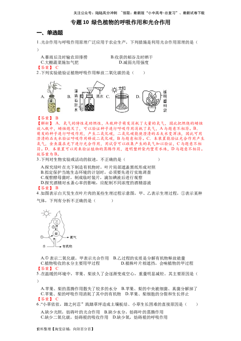 专题10绿色植物的呼吸作用和光合作用（解析版）_02中考总复习（2026版更新中）_08-生物-中考总复习_2024年中考复习资料_一轮复习_配套练习_教师版（含答案解析）
