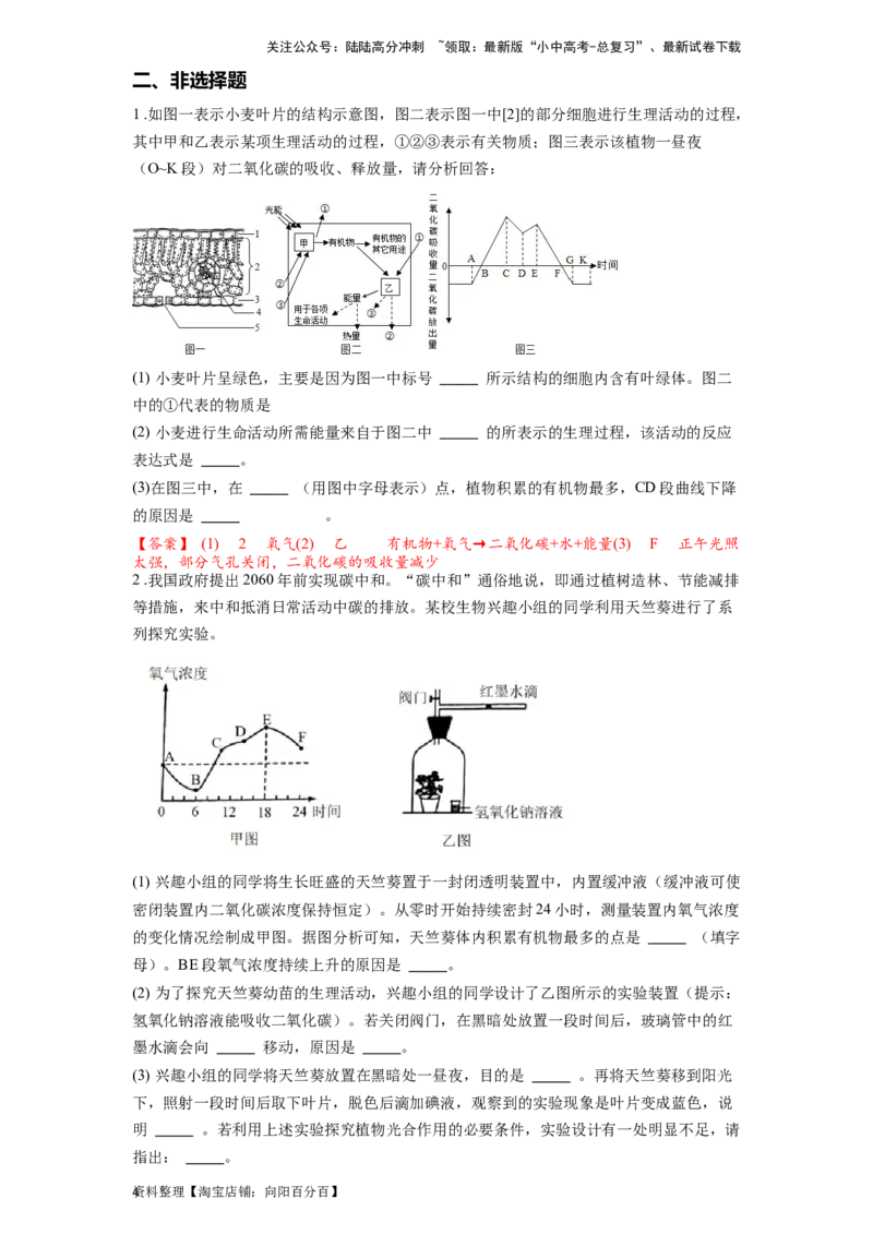 专题10绿色植物的呼吸作用和光合作用（解析版）_02中考总复习（2026版更新中）_08-生物-中考总复习_2024年中考复习资料_一轮复习_配套练习_教师版（含答案解析）