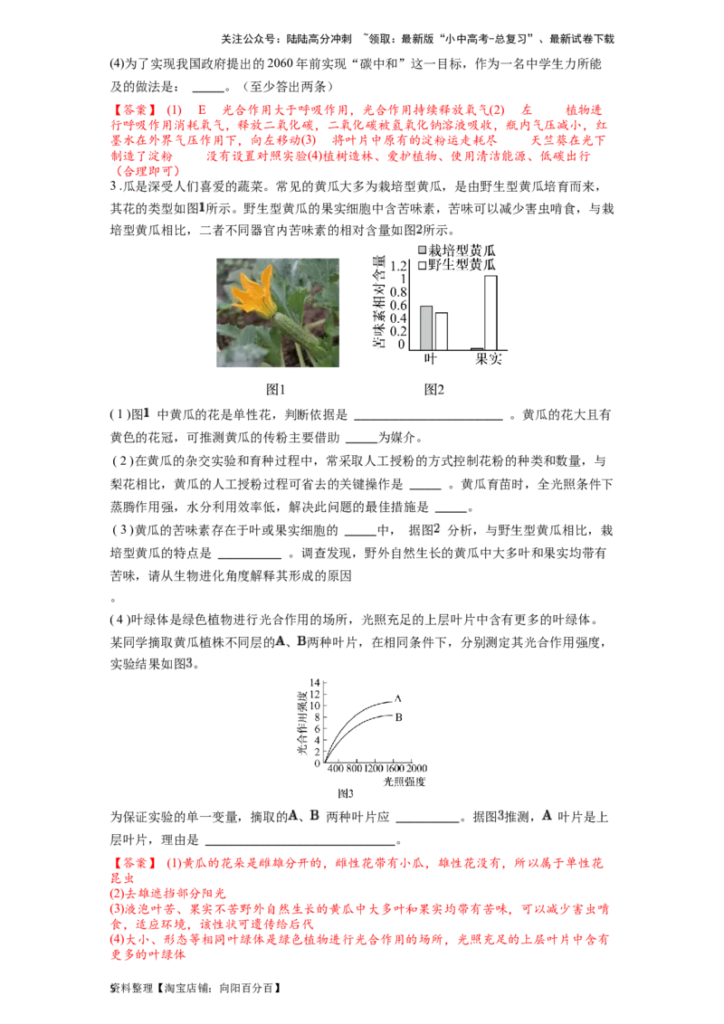 专题10绿色植物的呼吸作用和光合作用（解析版）_02中考总复习（2026版更新中）_08-生物-中考总复习_2024年中考复习资料_一轮复习_配套练习_教师版（含答案解析）