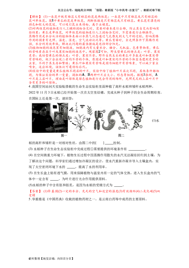 专题10绿色植物的呼吸作用和光合作用（解析版）_02中考总复习（2026版更新中）_08-生物-中考总复习_2024年中考复习资料_一轮复习_配套练习_教师版（含答案解析）