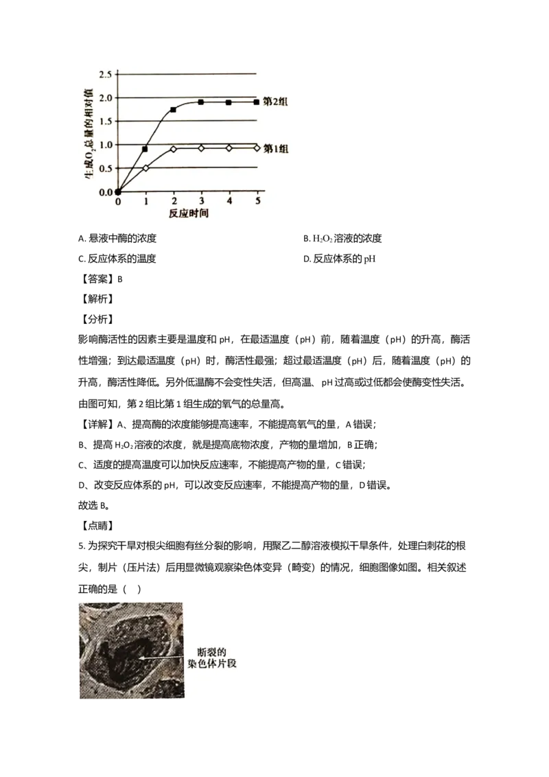 2020年北京市高考生物试卷（解析版）_全国卷+地方卷_6.生物_1.生物高考真题试卷_2008-2020年_地方卷_北京高考生物08-21_A4word版