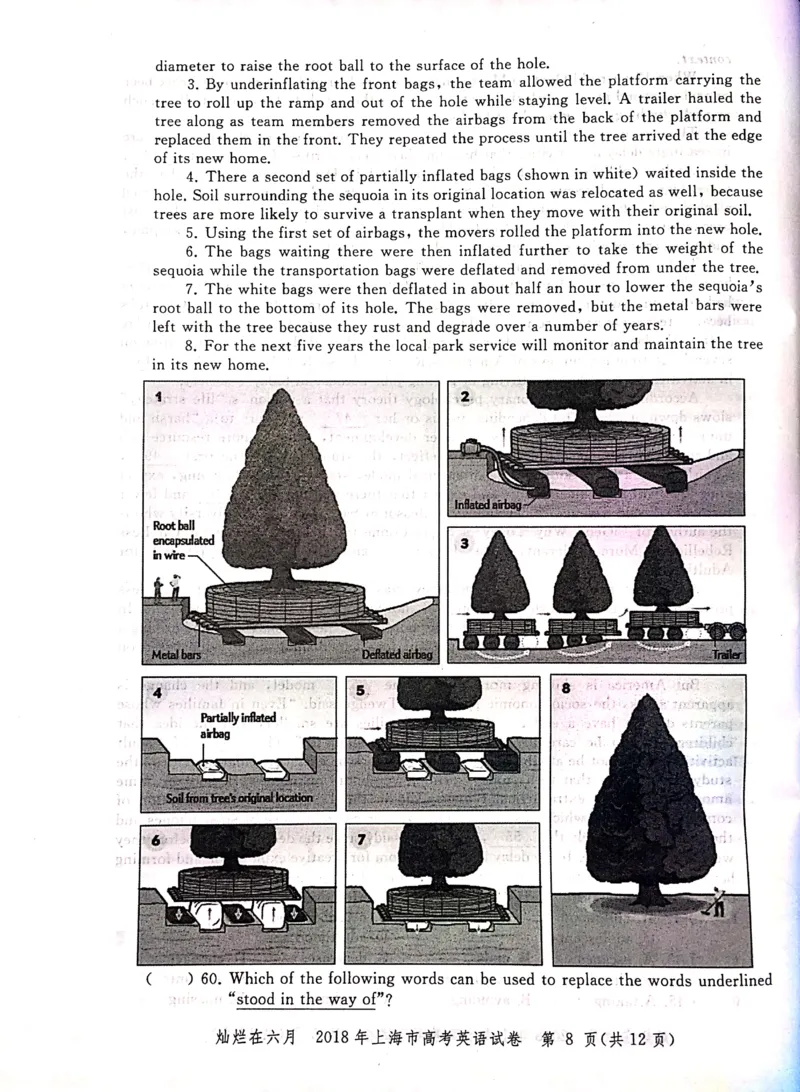 2018年上海高考英语真题试卷（图片版）_全国卷+地方卷_3.英语_1.英语高考真题试卷_2008-2020年_地方卷_上海高考英语真题04-19_2019-2004上海高考英语真题卷及答案PDF版