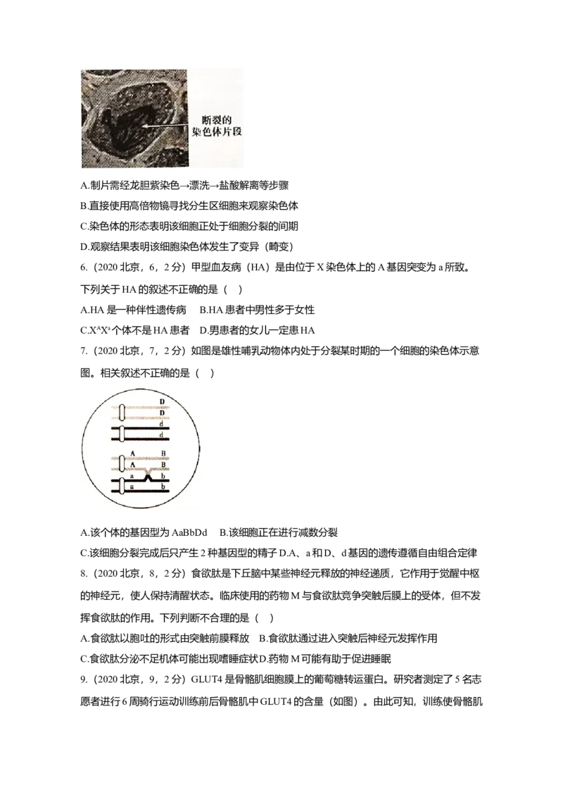 2020年北京市高考生物试卷（原卷版）_全国卷+地方卷_6.生物_1.生物高考真题试卷_2008-2020年_地方卷_北京高考生物08-21_A4word版