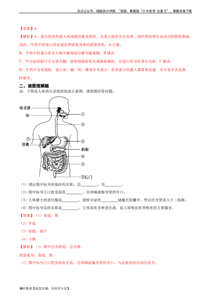 专题10人体的营养（习题精练）（全国通用）（解析版）_02中考总复习（2026版更新中）_08-生物-中考总复习_2024年中考复习资料_一轮复习_配套练习（原卷版+解析版）_答案解析版