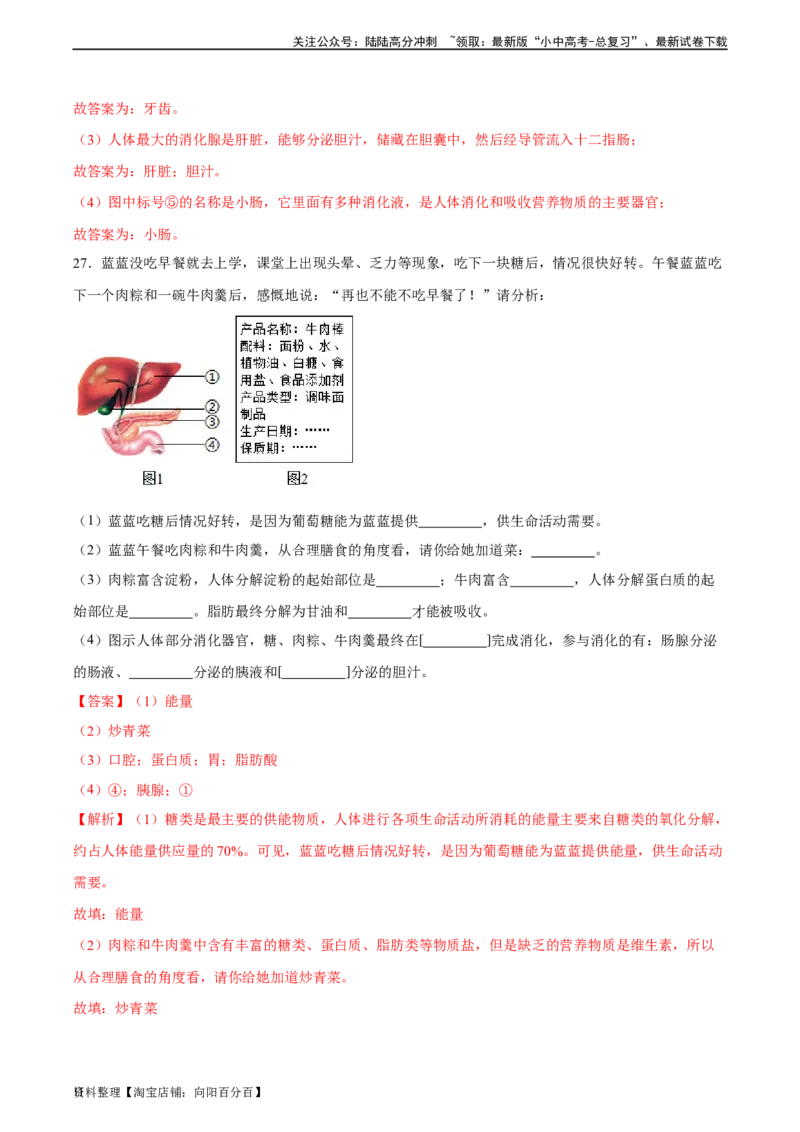 专题10人体的营养（习题精练）（全国通用）（解析版）_02中考总复习（2026版更新中）_08-生物-中考总复习_2024年中考复习资料_一轮复习_配套练习（原卷版+解析版）_答案解析版