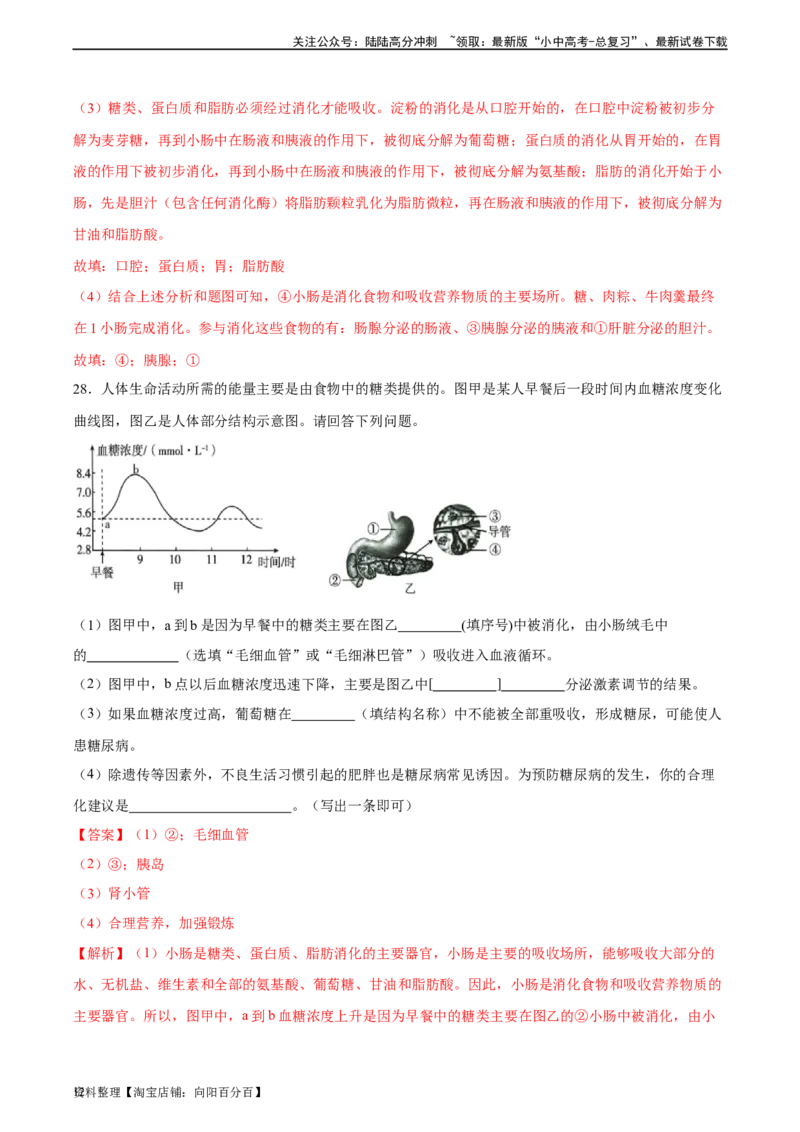 专题10人体的营养（习题精练）（全国通用）（解析版）_02中考总复习（2026版更新中）_08-生物-中考总复习_2024年中考复习资料_一轮复习_配套练习（原卷版+解析版）_答案解析版