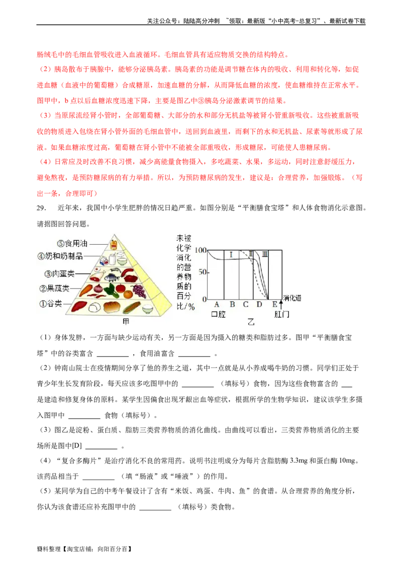 专题10人体的营养（习题精练）（全国通用）（解析版）_02中考总复习（2026版更新中）_08-生物-中考总复习_2024年中考复习资料_一轮复习_配套练习（原卷版+解析版）_答案解析版