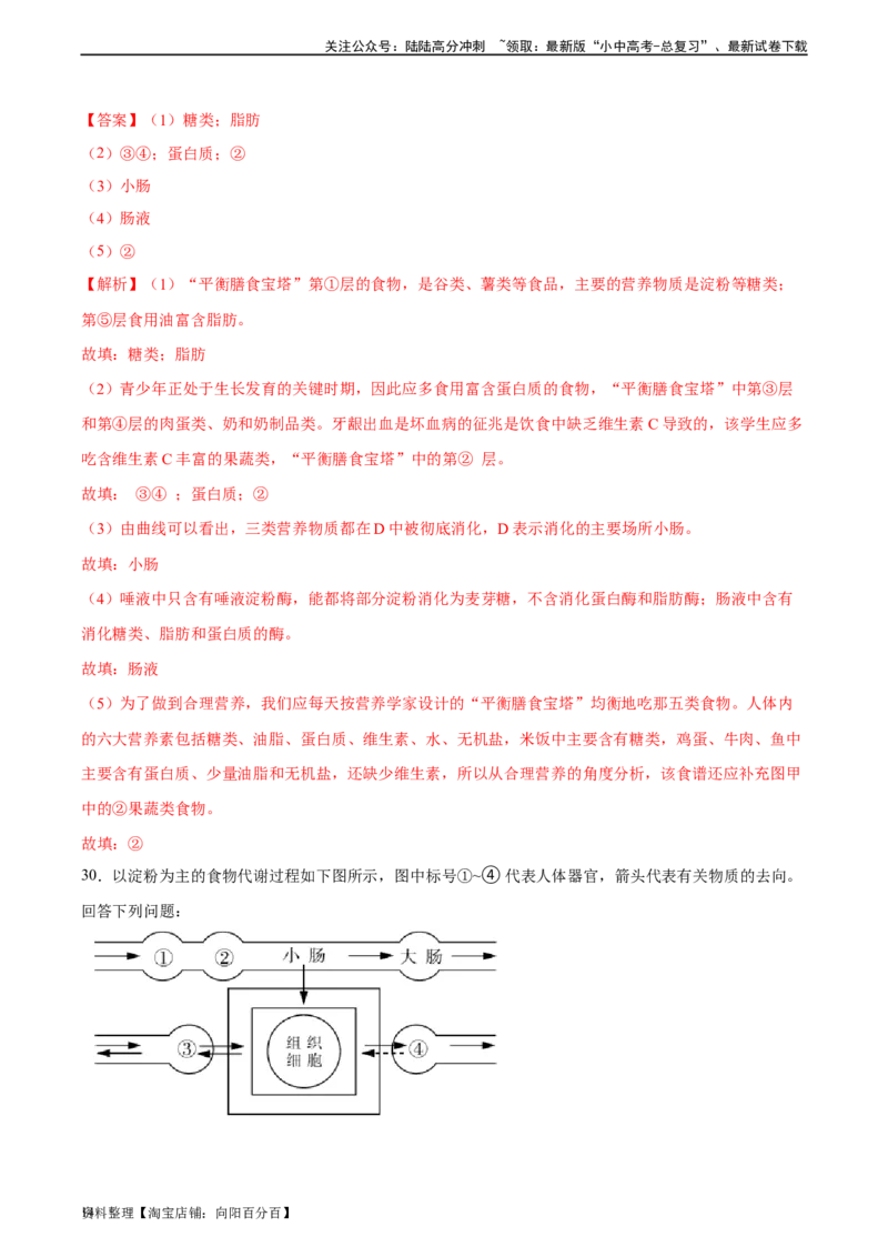 专题10人体的营养（习题精练）（全国通用）（解析版）_02中考总复习（2026版更新中）_08-生物-中考总复习_2024年中考复习资料_一轮复习_配套练习（原卷版+解析版）_答案解析版