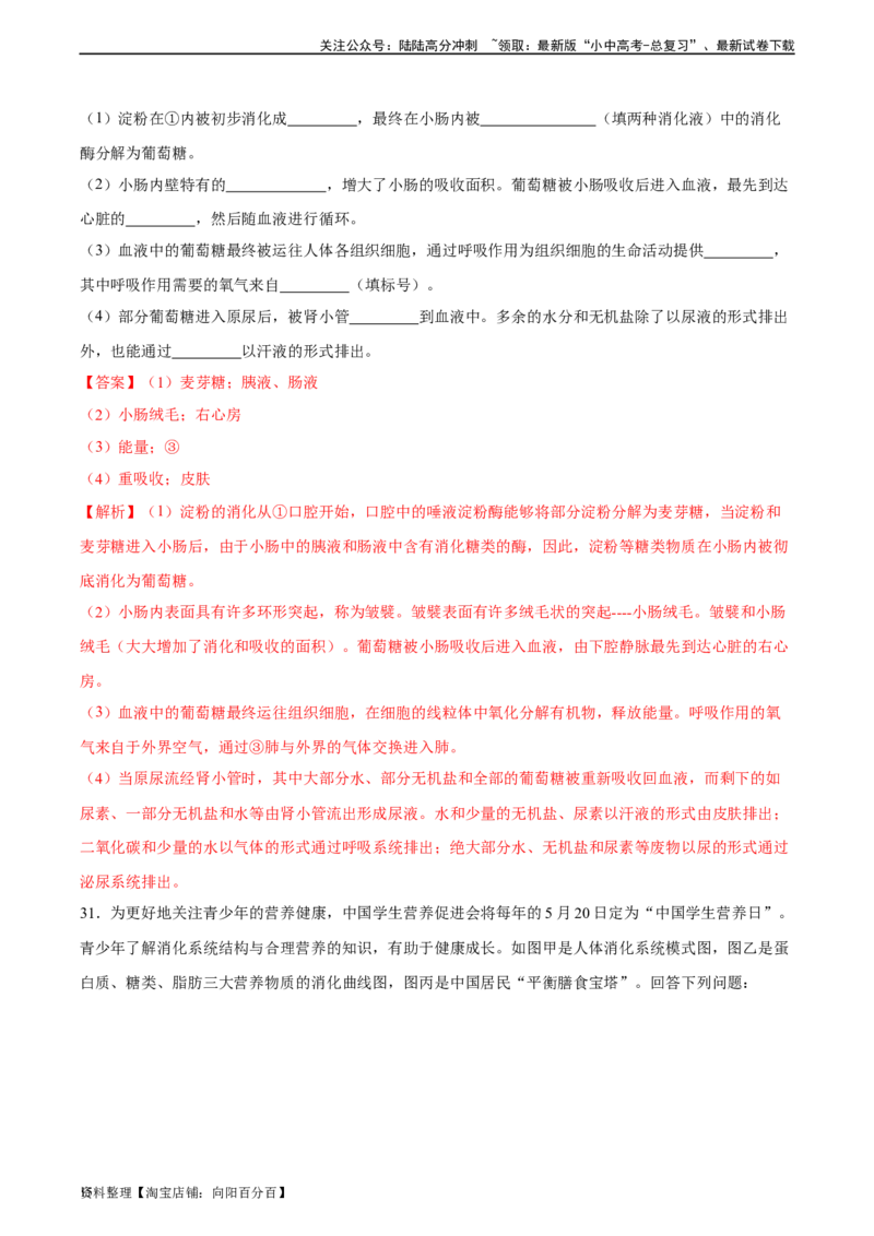 专题10人体的营养（习题精练）（全国通用）（解析版）_02中考总复习（2026版更新中）_08-生物-中考总复习_2024年中考复习资料_一轮复习_配套练习（原卷版+解析版）_答案解析版