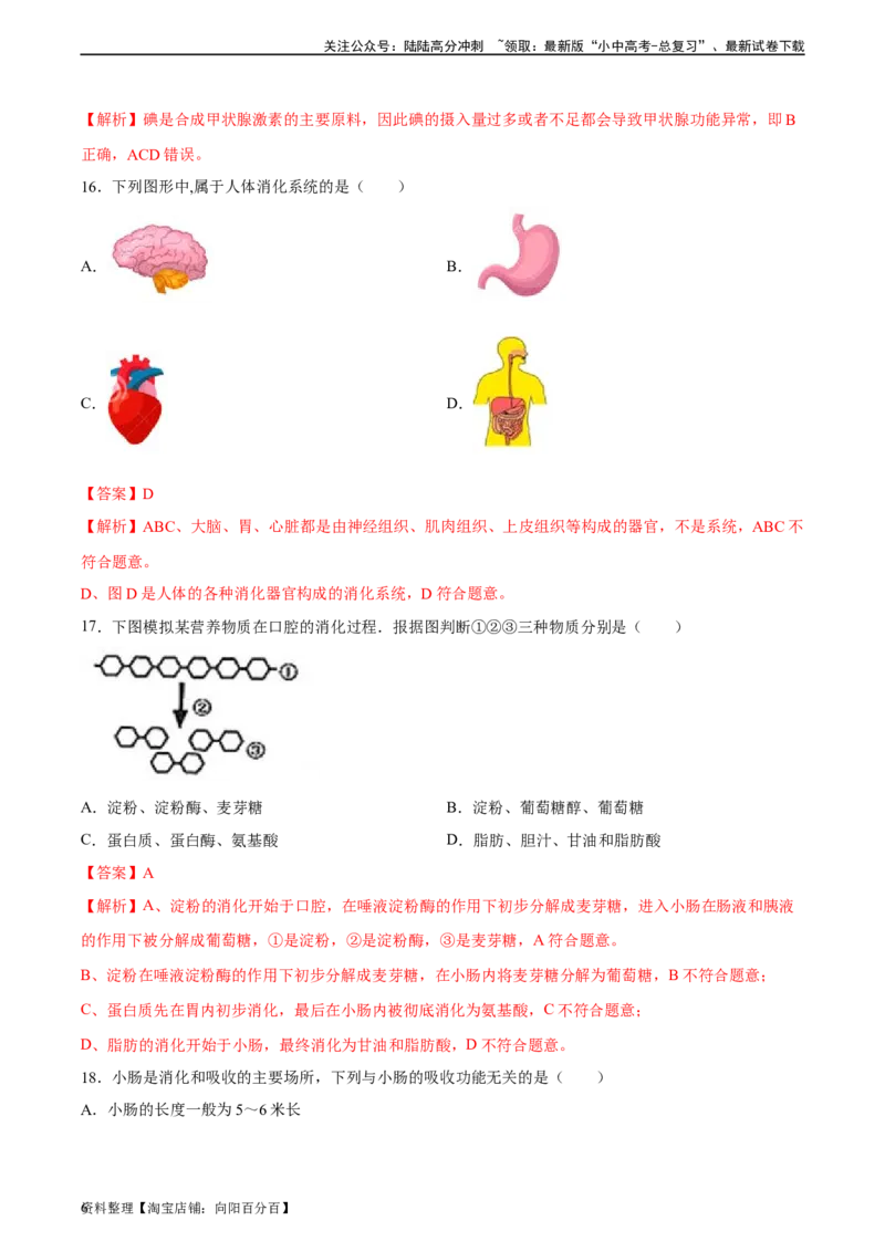 专题10人体的营养（习题精练）（全国通用）（解析版）_02中考总复习（2026版更新中）_08-生物-中考总复习_2024年中考复习资料_一轮复习_配套练习（原卷版+解析版）_答案解析版