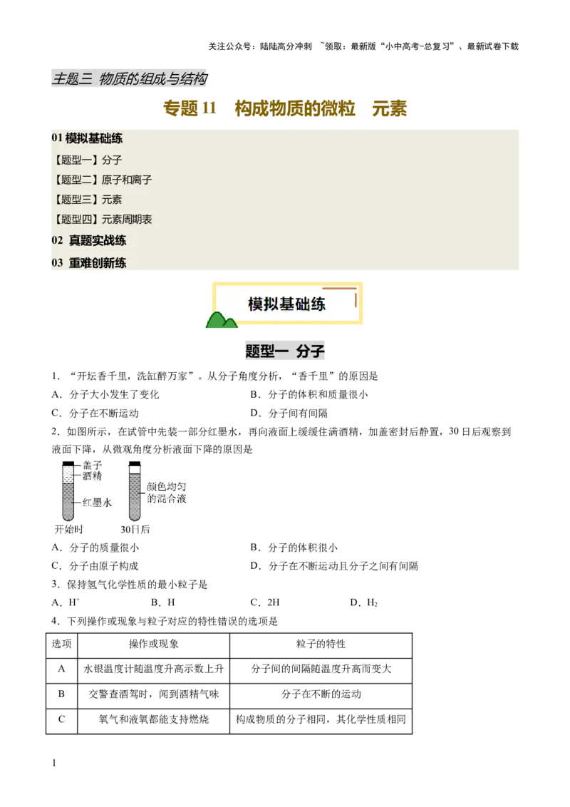 专题11构成物质的微粒元素（练习）（原卷版）_02中考总复习（2026版更新中）_05-化学-中考总复习_2025年中考复习资料_2025中考化学一轮复习讲义+课件_练习