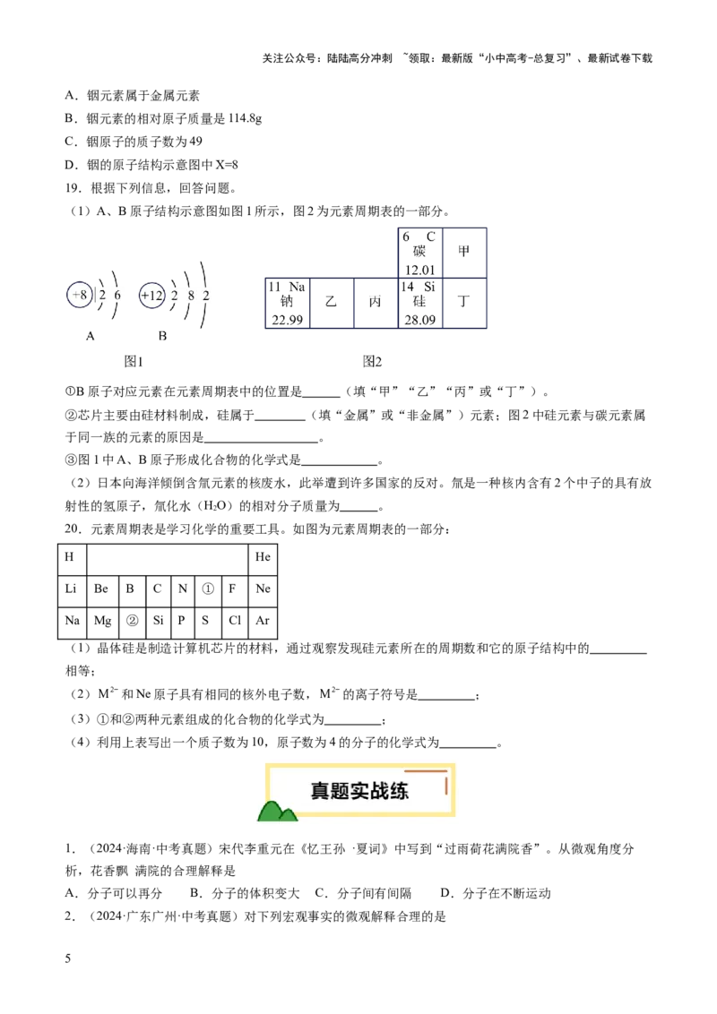 专题11构成物质的微粒元素（练习）（原卷版）_02中考总复习（2026版更新中）_05-化学-中考总复习_2025年中考复习资料_2025中考化学一轮复习讲义+课件_练习