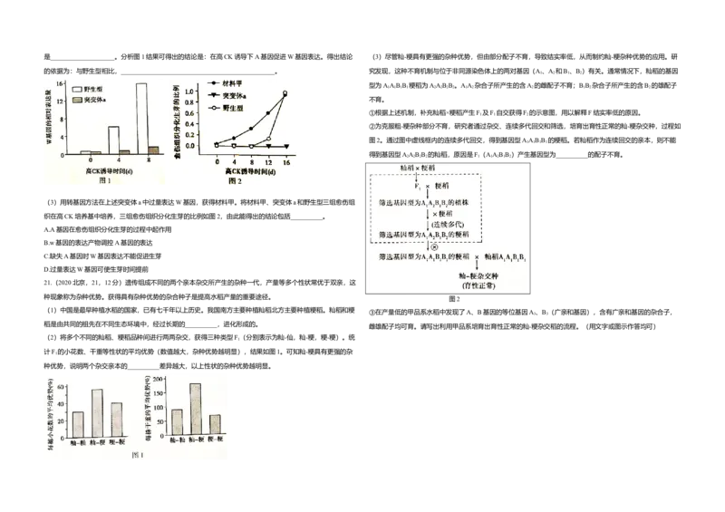 2020年北京市高考生物试卷（原卷版）_全国卷+地方卷_6.生物_1.生物高考真题试卷_2008-2020年_地方卷_北京高考生物08-21_A3word版