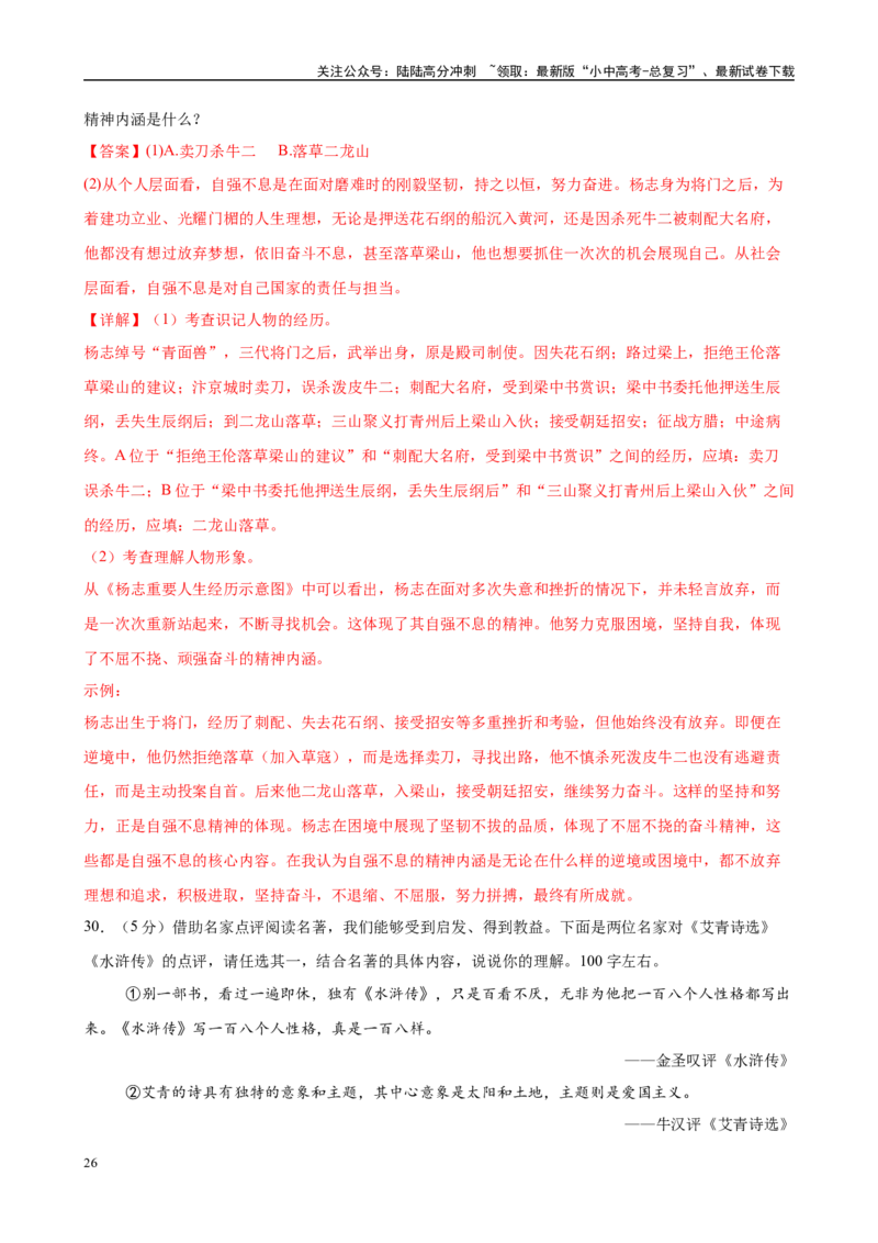 专题10《水浒传》-2025年中考语文名著导读分层闯关训练（解析版）_02中考总复习（2026版更新中）_01-语文-中考总复习_2025年中考资料_2025年中考语文名著导读分层闯关训练