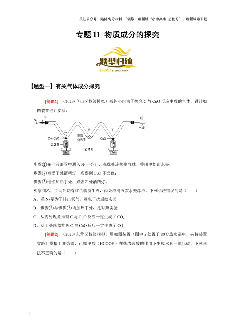 专题11物质成分的探究（原卷版）_02中考总复习（2026版更新中）_05-化学-中考总复习_2024年中考复习资料_二轮复习资料_2024年中考化学二轮专项复习核心考点讲解与必刷题型