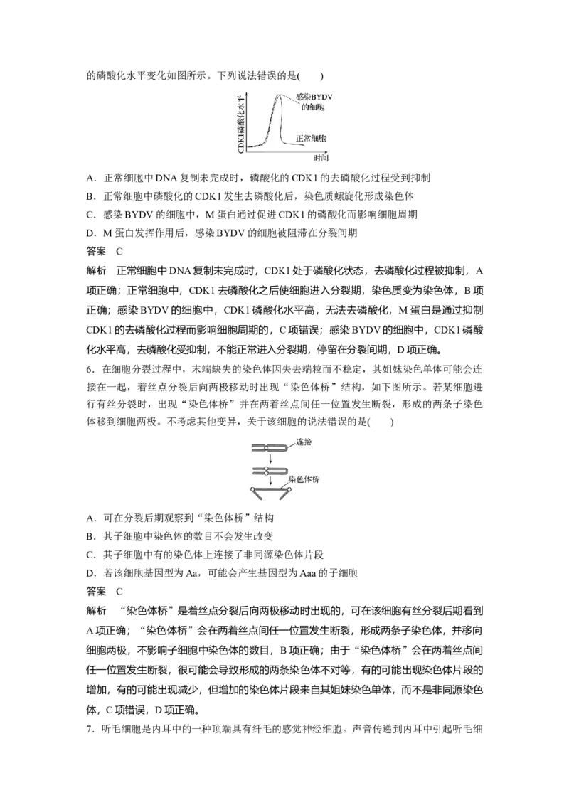 2020年高考真题生物（山东卷）（解析版）_全国卷+地方卷_6.生物_1.生物高考真题试卷_2008-2020年_地方卷_山东高考生物08-21_山东高考生物_A4版