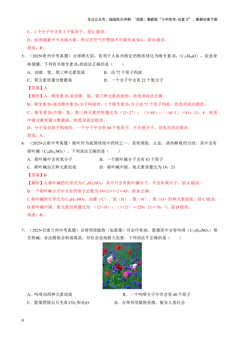 专题09物质组成的表示（解析版）_02中考总复习（2026版更新中）_05-化学-中考总复习_2026年中考复习（更新中）_备战2026年中考化学真题题源解密