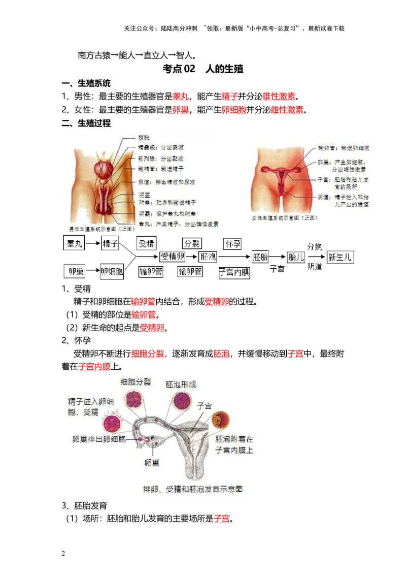 专题09人的由来（背记帮）-备战2024年中考生物一轮复习考点帮_02中考总复习（2026版更新中）_08-生物-中考总复习_2024年中考复习资料_一轮复习_必背考点