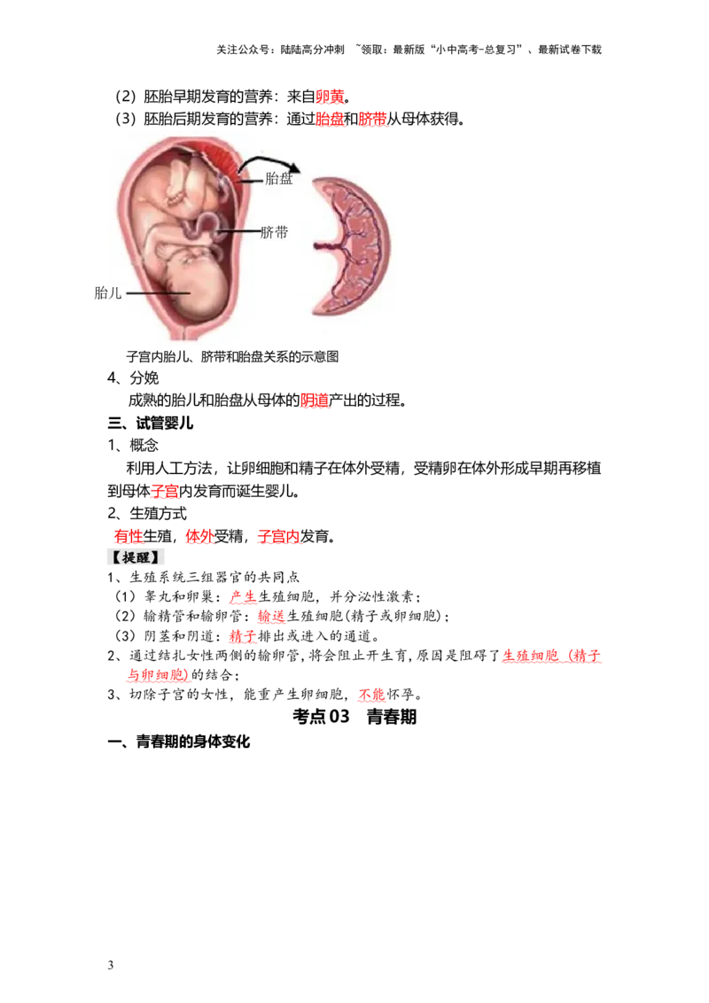 专题09人的由来（背记帮）-备战2024年中考生物一轮复习考点帮_02中考总复习（2026版更新中）_08-生物-中考总复习_2024年中考复习资料_一轮复习_必背考点